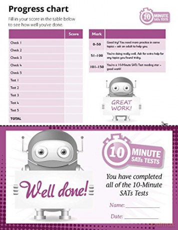 Quick test reading activities for children ages 5-6 [KSIĄŻKA]