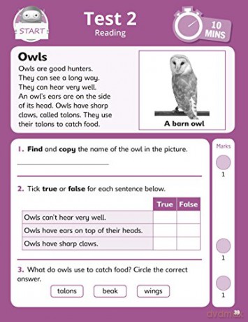 Quick test reading activities for children ages 5-6 [KSIĄŻKA]