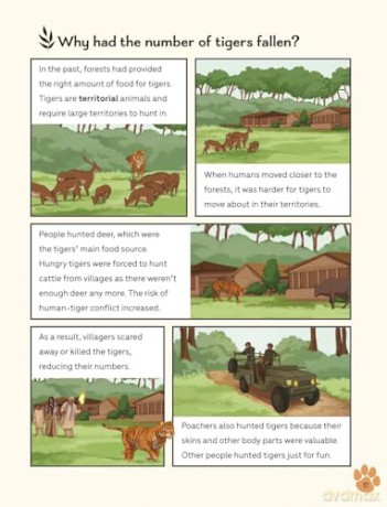Readerful Level 16: Big Cats And Wildlife Acts [KSIĄŻKA]