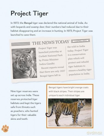 Readerful Level 16: Big Cats And Wildlife Acts [KSIĄŻKA]