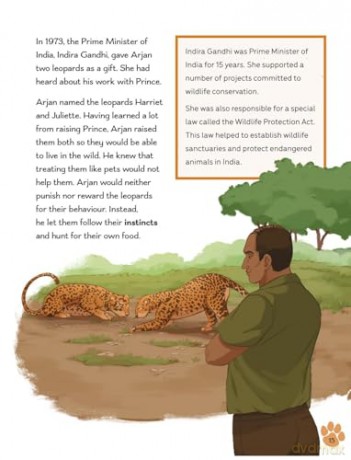 Readerful Level 16: Big Cats And Wildlife Acts [KSIĄŻKA]