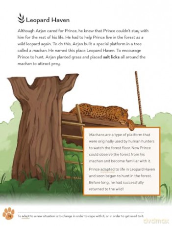 Readerful Level 16: Big Cats And Wildlife Acts [KSIĄŻKA]