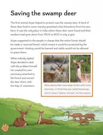 Readerful Level 16: Big Cats And Wildlife Acts [KSIĄŻKA]