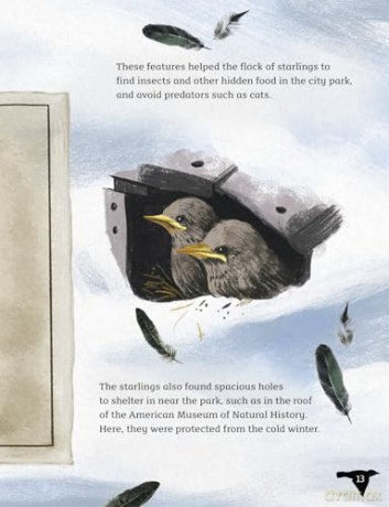 Readerful Y5/P6: Sky Dancers: The Story Of An Introduced Species [KSIĄŻKA]