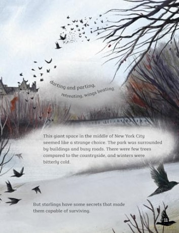 Readerful Y5/P6: Sky Dancers: The Story Of An Introduced Species [KSIĄŻKA]