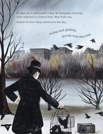 Readerful Y5/P6: Sky Dancers: The Story Of An Introduced Species [KSIĄŻKA]
