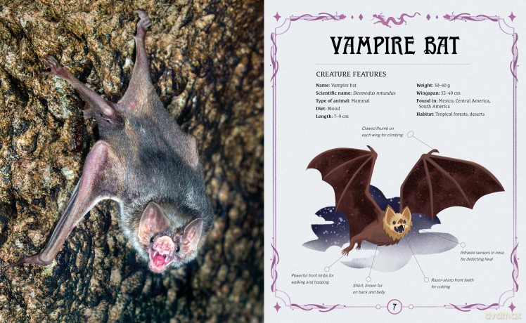 Real-life Mythical Creatures and Their Stories of Survival [KSIĄŻKA]