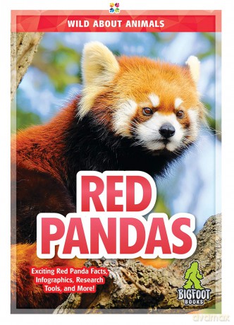Red Pandas [KSIĄŻKA]