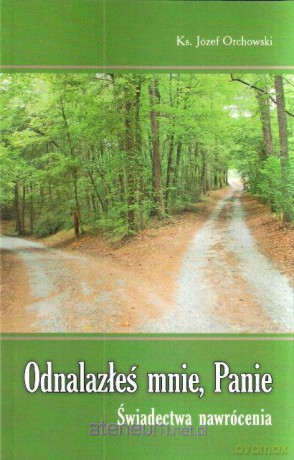 Odnalazłeś mnie, Panie WDS [KSIĄŻKA]