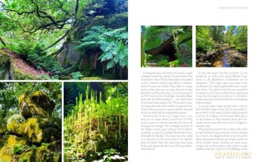 Rock Idols: A Guide to Dartmoor in 28 Tors [KSIĄŻKA]