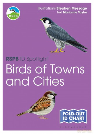 RSPB ID Spotlight - Birds of Towns and Cities [KSIĄŻKA]