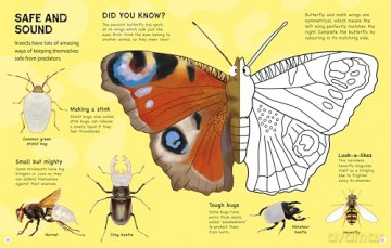 RSPB Minibeasts Activity Book [KSIĄŻKA]
