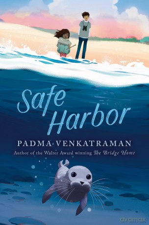 Safe Harbor [KSIĄŻKA]