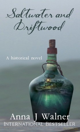 Saltwater and Driftwood: A Historical Novel [KSIĄŻKA]