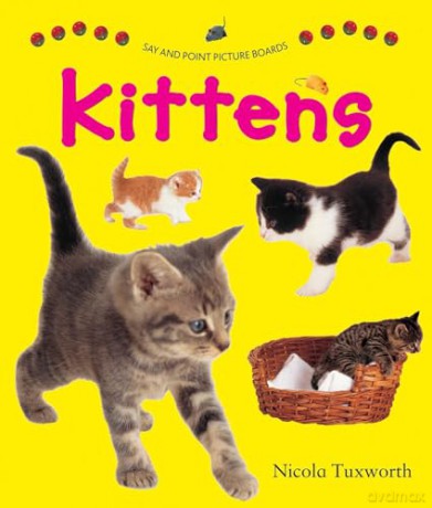 Say and Point Picture Boards: Kittens [KSIĄŻKA]