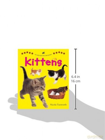Say and Point Picture Boards: Kittens [KSIĄŻKA]