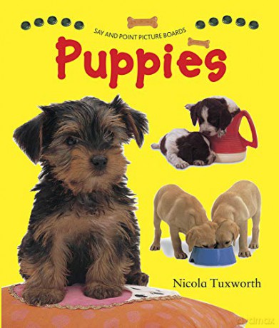 Say And Point Picture Boards: Puppies [KSIĄŻKA]