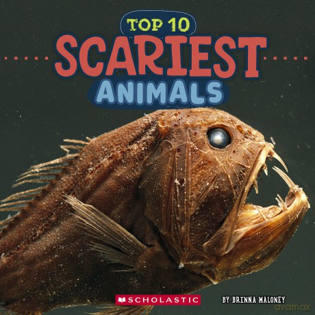 Scariest Animals [KSIĄŻKA]