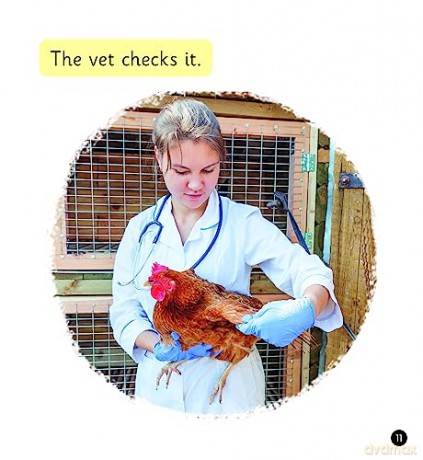 Scholastic Phonics for Little Wandle: The Job of a Vet [KSIĄŻKA]