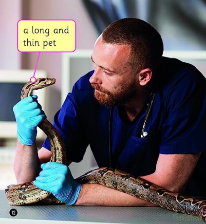 Scholastic Phonics for Little Wandle: The Job of a Vet [KSIĄŻKA]