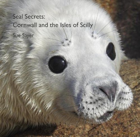 Seal Secrets: Cornwall and the Isles of Scilly [KSIĄŻKA]
