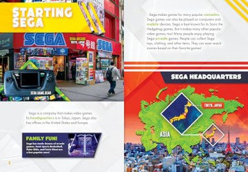 Sega [KSIĄŻKA]