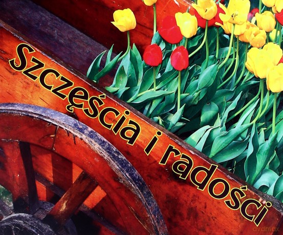 Perełka 185 - Szczęścia i radości w.2011 [KSIĄŻKA]