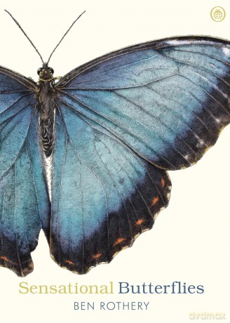 Sensational Butterflies: A journey into the enchanting and vibrant world of butterflies [KSIĄŻKA]