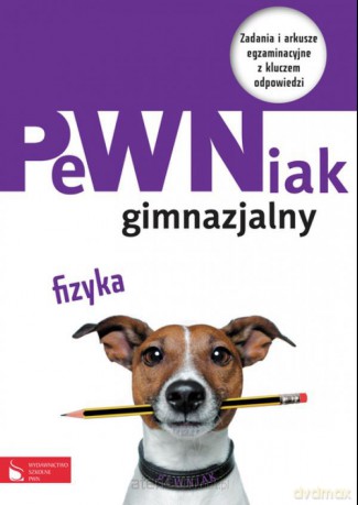 PeWNiak gimnazjalny. Fizyka [KSIĄŻKA]