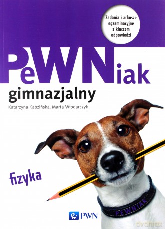 PeWNiak gimnazjalny. Fizyka [KSIĄŻKA]