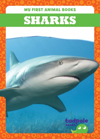 Sharks [KSIĄŻKA]