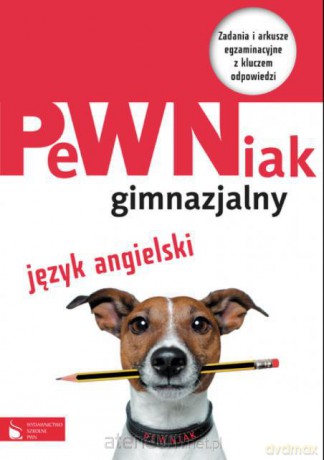 PeWNiak gimnazjalny. Język angielski [KSIĄŻKA]