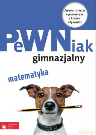 PeWNiak gimnazjalny. Matematyka [KSIĄŻKA]