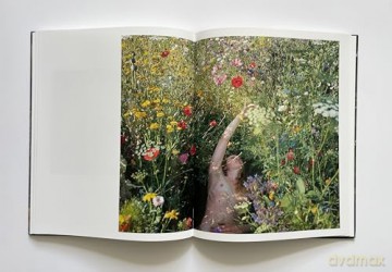 Siân Davey: The Garden [KSIĄŻKA]