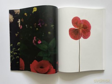 Siân Davey: The Garden [KSIĄŻKA]
