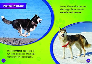 Siberian Huskies [KSIĄŻKA]