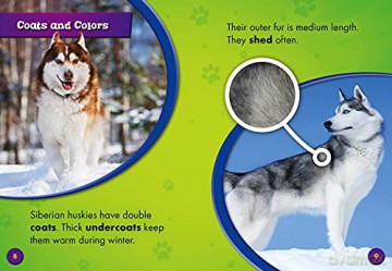 Siberian Huskies [KSIĄŻKA]