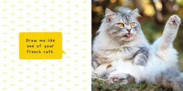 Silly Cats: A Ridiculous Collection of the World's Goofiest Cats and Most Relatable Memes [KSIĄŻKA]