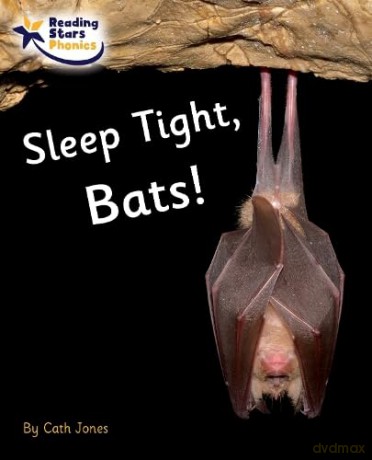Sleep Tight, Bats!: Phase 4 [KSIĄŻKA]
