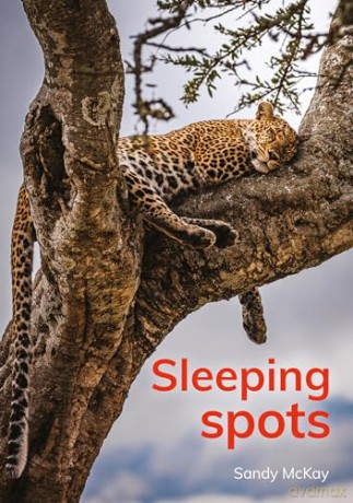 Sleeping spots [KSIĄŻKA]