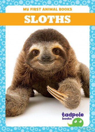 Sloths [KSIĄŻKA]