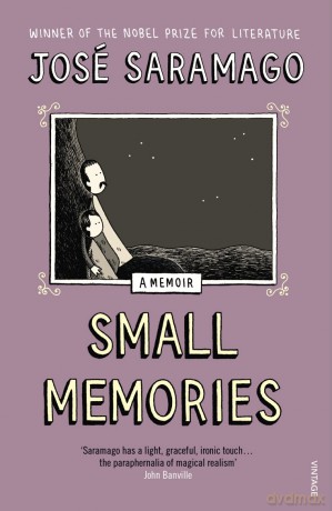 Small Memories [KSIĄŻKA]
