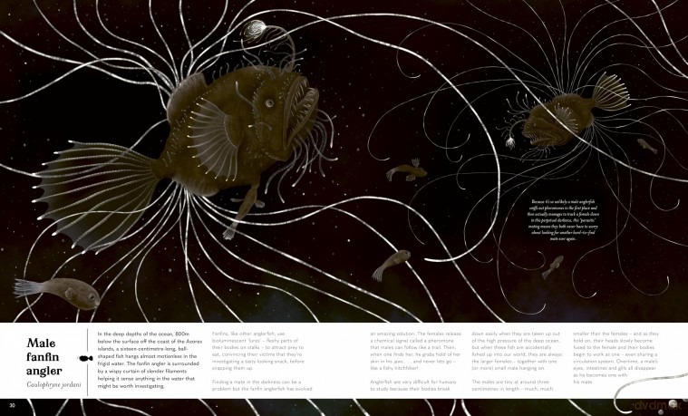 Small World: Meet 30 of Earth's Tiniest Creatures [KSIĄŻKA]