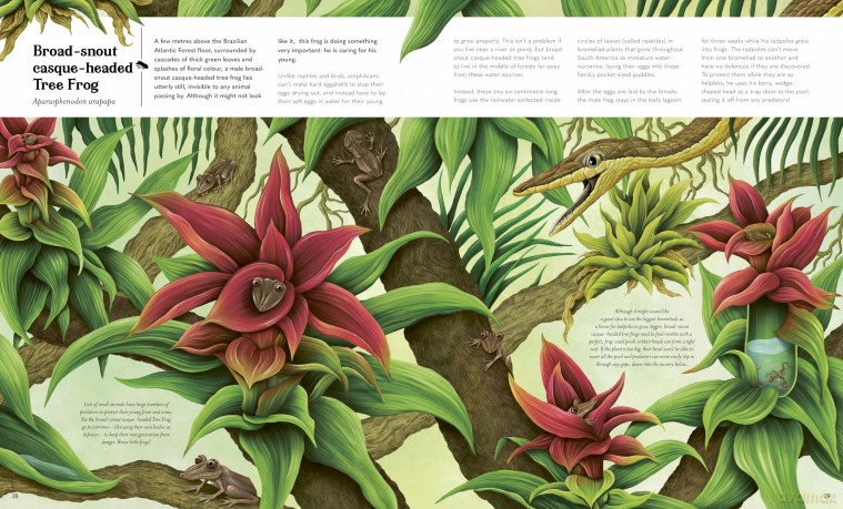 Small World: Meet 30 of Earth's Tiniest Creatures [KSIĄŻKA]