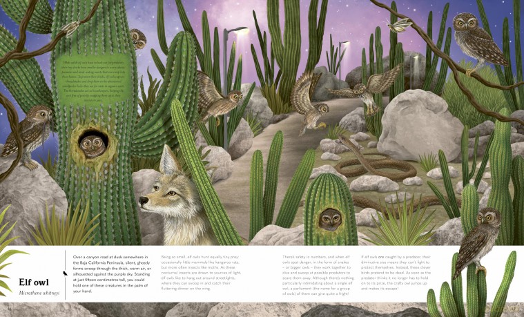 Small World: Meet 30 of Earth's Tiniest Creatures [KSIĄŻKA]