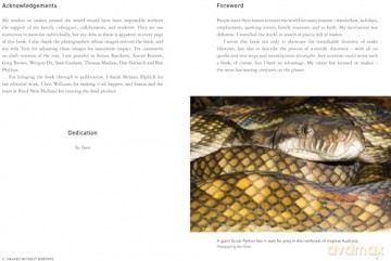 Snakes Without Borders: A collection of amazing stories from one of the world's leading herpetologists, who spent 50 years conducting research on snakes [KSIĄŻKA]