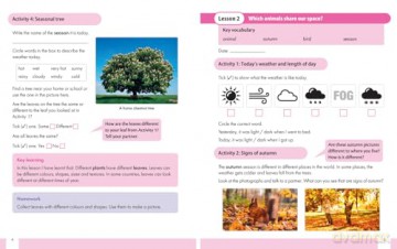 Snap Science Pupil Workbook Year 1 [KSIĄŻKA]