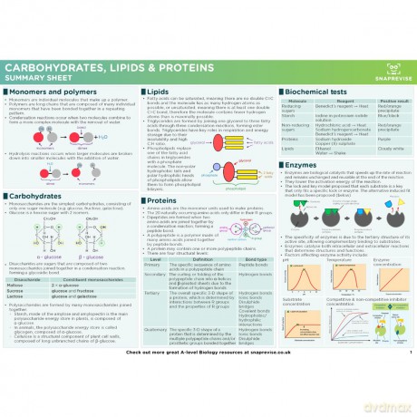 SnapRevise A-Level AQA Biology Summary Sheets [KSIĄŻKA]