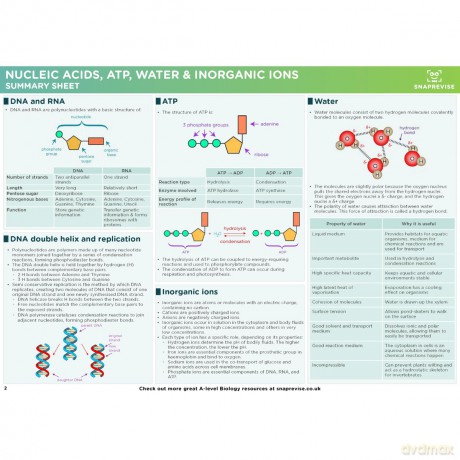 SnapRevise A-Level AQA Biology Summary Sheets [KSIĄŻKA]