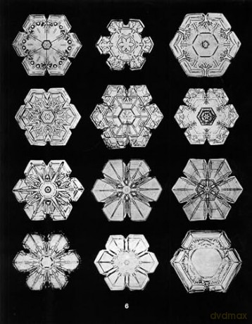 Snowflakes in Photographs [KSIĄŻKA]
